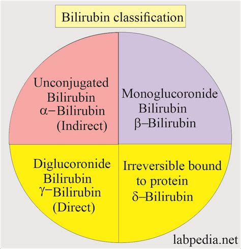 total bilirubin 1.8|2.0 bilirubin levels in adults.